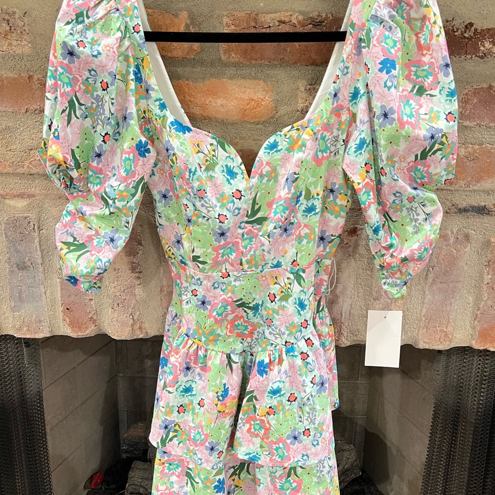For Love and Lemons dress